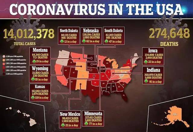美国最新疫情概况及其社会影响分析